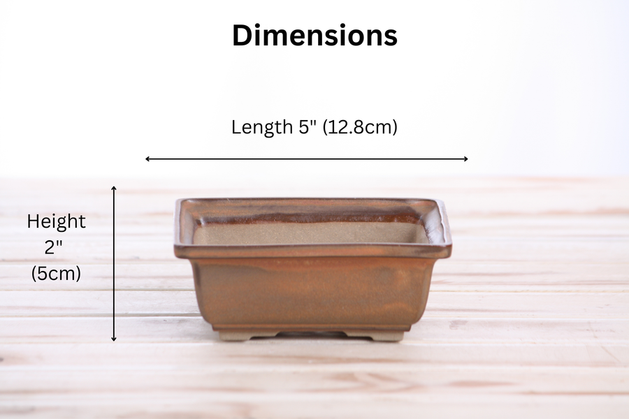 Dimensions of 5-Inch Square Bonsai Pot - Deep Stone