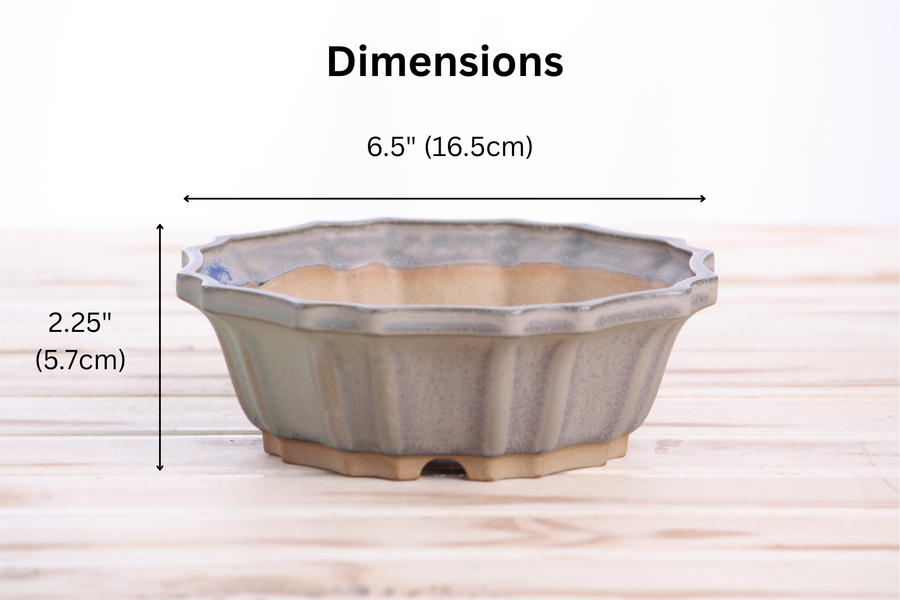 Dimensions of 6.5-Inch Flower Bonsai Pot - Ocean