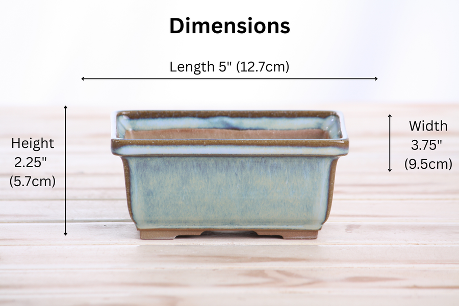 Dimensions of 5-Inch Rectangle Deep Bonsai Pot - Glacier