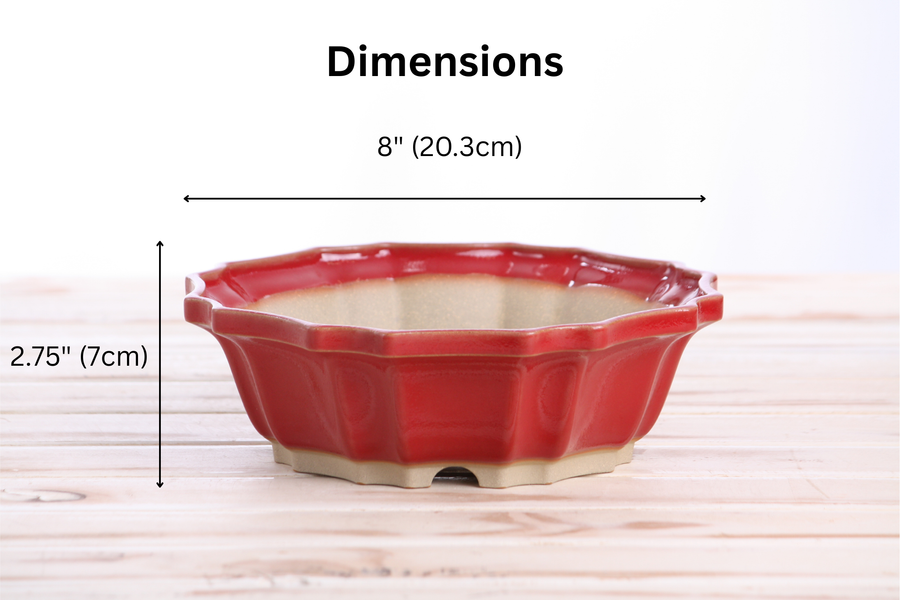 Dimensions of 8-Inch Flower Bonsai Pot - Red