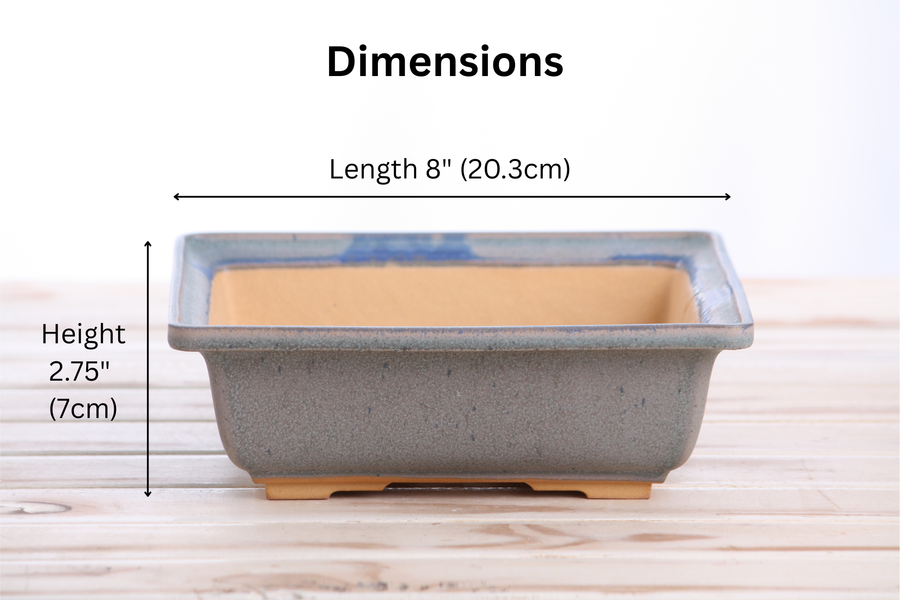 Dimensions of 8-Inch Square Bonsai Pot - Ocean