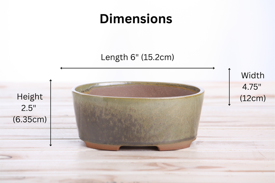 Dimensions of 6-Inch Oval A Bonsai Pot - Copenhagen