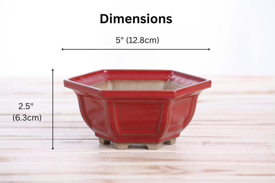 Dimensions of 5-Inch Hexagonal Windowed Bonsai Pot - Red