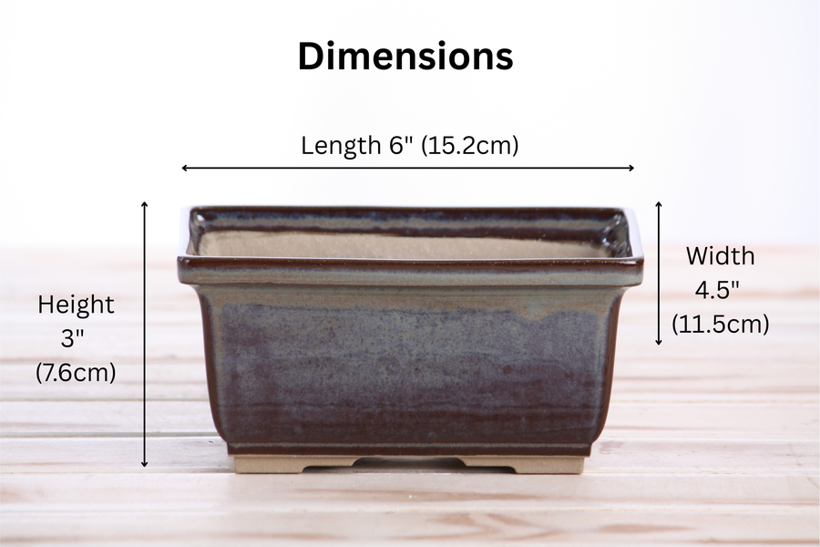 Dimensions of 6-Inch Rectangle Deep Bonsai Pot - Starry Night