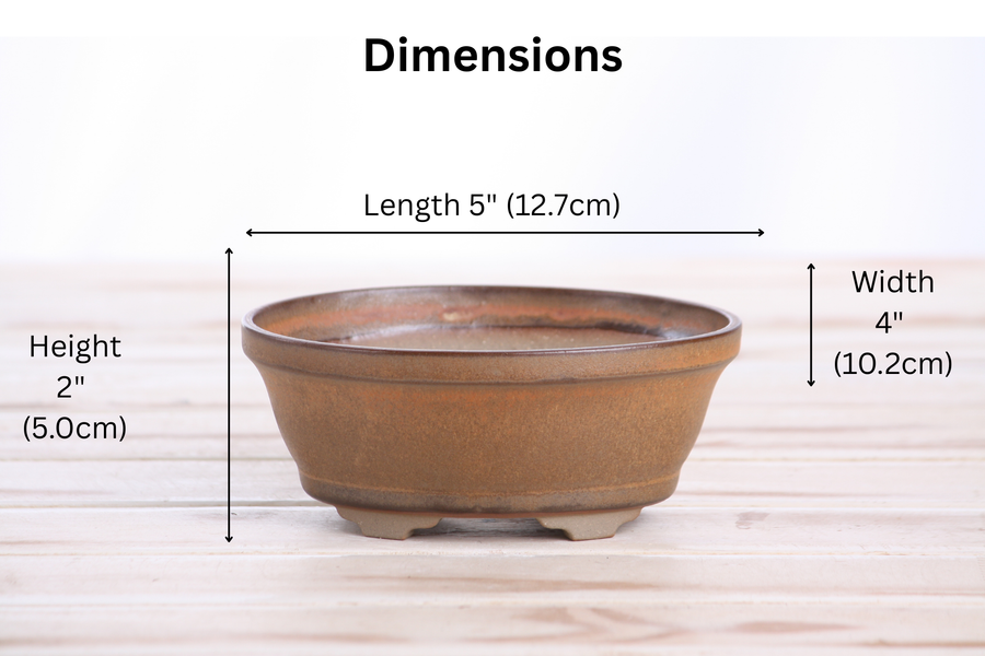 Dimensions of 5-Inch Oval B Bonsai Pot - Deep Stone