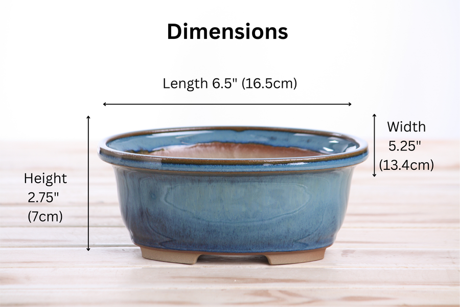 Dimensions of 6.5-Inch Fat Oval Bonsai Pot - Peacock 2025
