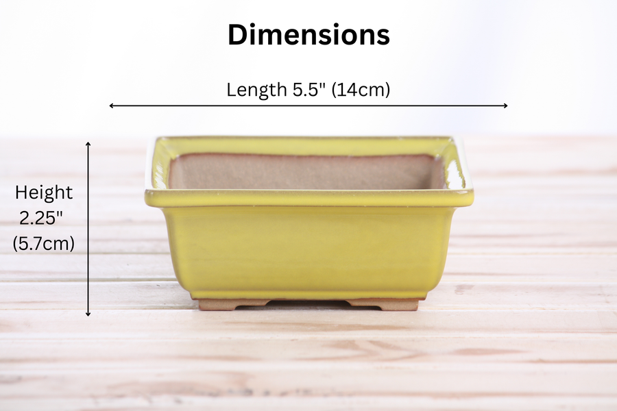 Dimensions of 5.5-Inch Square Bonsai Pot - Yellow