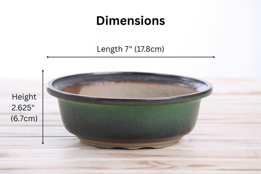 Dimensions of 7-Inch Round Bonsai Pot - Avocado