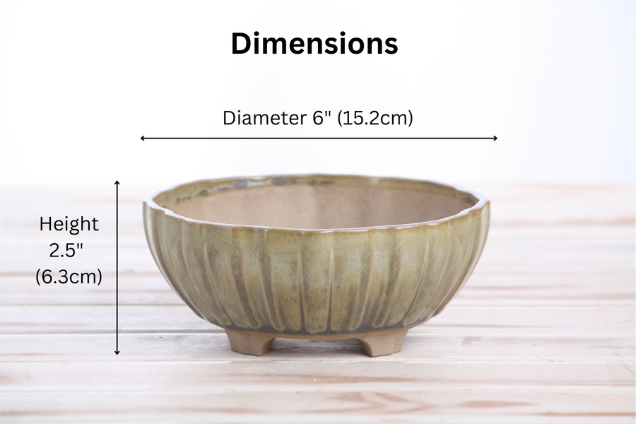 Dimensions of 6-Inch Lily Bonsai Pot - Copenhagen