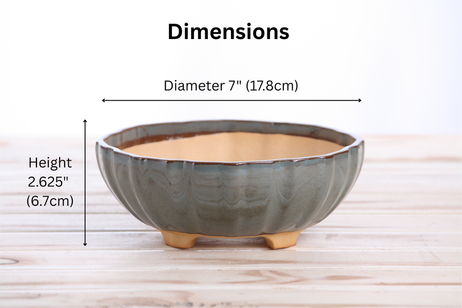 Dimensions of 7-Inch Lily Bonsai Pot - Starry Night