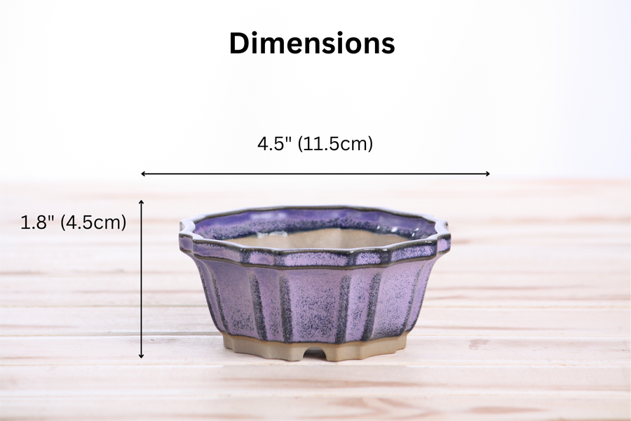 Dimensions of 4.5-Inch Flower Bonsai Pot - Purple