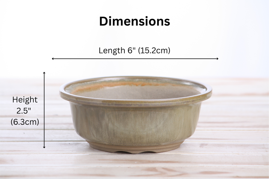 Dimensions of 6-Inch Round Bonsai Pot - Copenhagen