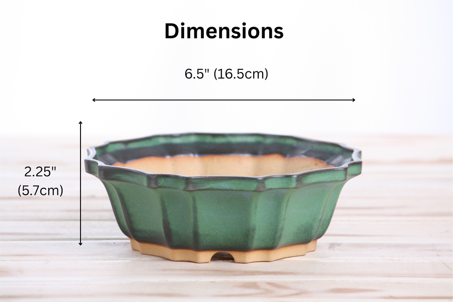 Dimensions of 6.5-Inch Flower Bonsai Pot - Avocado