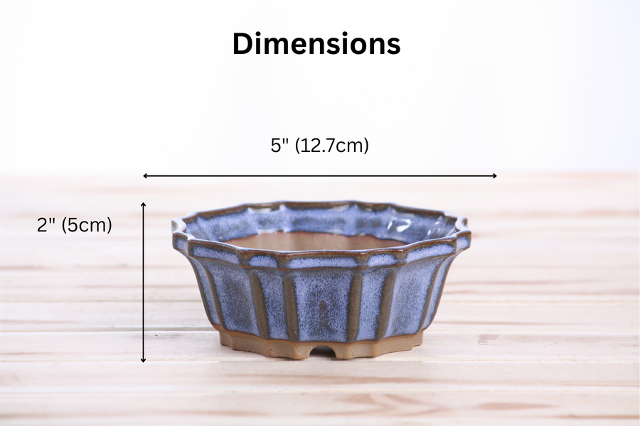 Dimensions of 5-Inch Flower Bonsai Pot - Denim