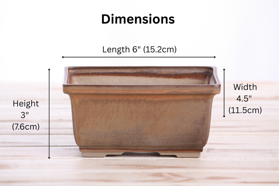 Dimensions of 6-Inch Rectangle Deep Bonsai Pot - Deep Stone