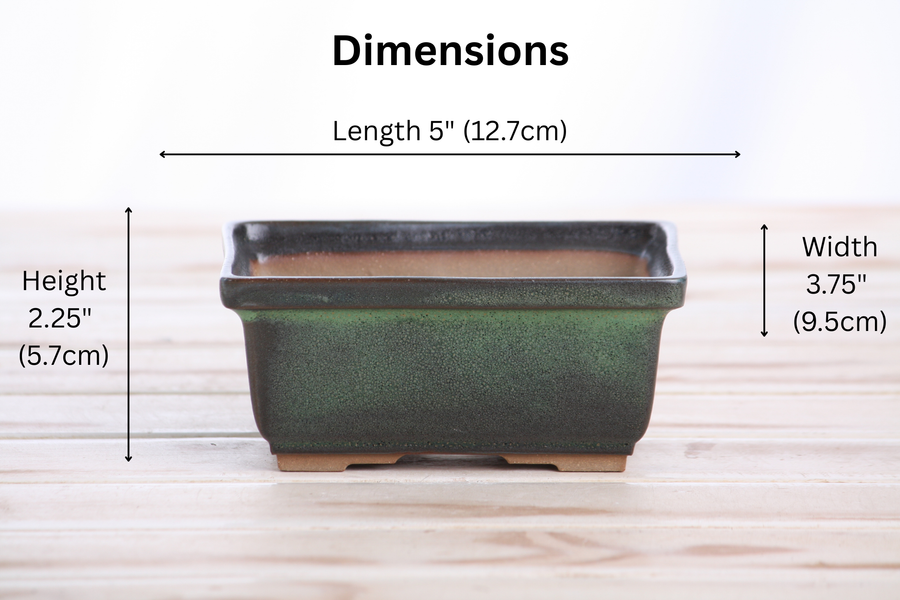 Dimensions of 5-Inch Rectangle Deep Bonsai Pot - Avocado