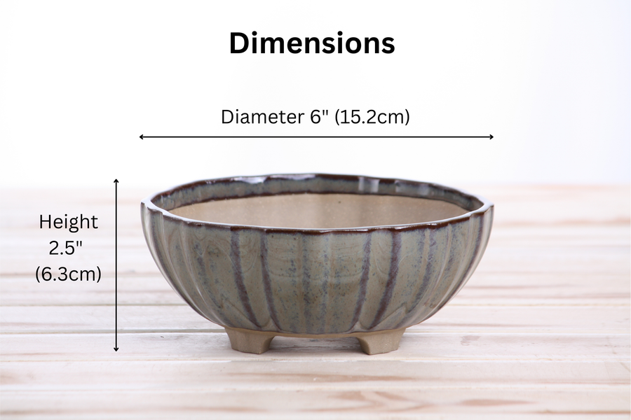 Dimensions of 6-Inch Lily Bonsai Pot - Starry Night