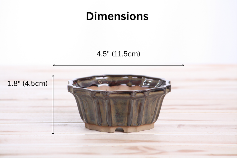 Dimensions of 4.5-Inch Flower Bonsai Pot - Dark Honey