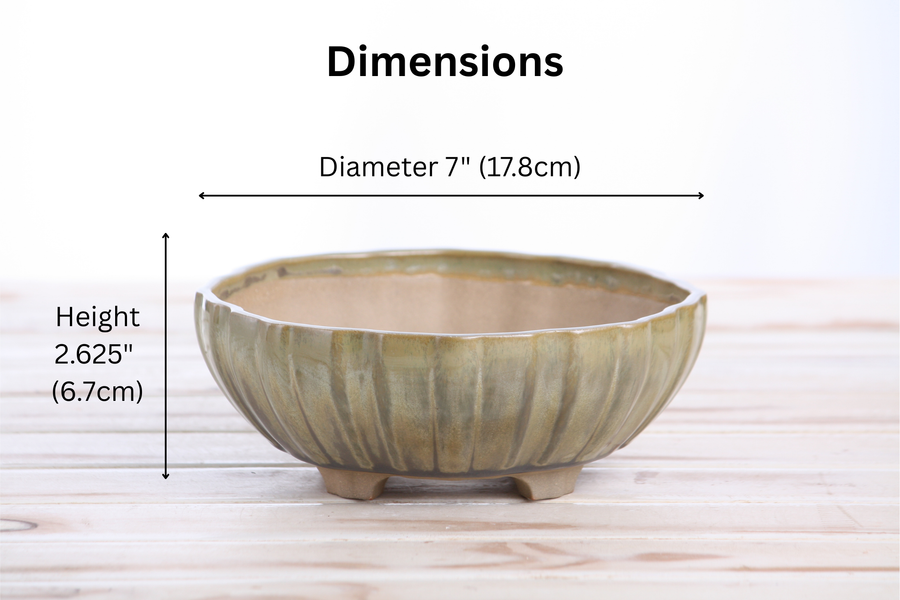 Dimensions of 7-Inch Lily Bonsai Pot - Copenhagen