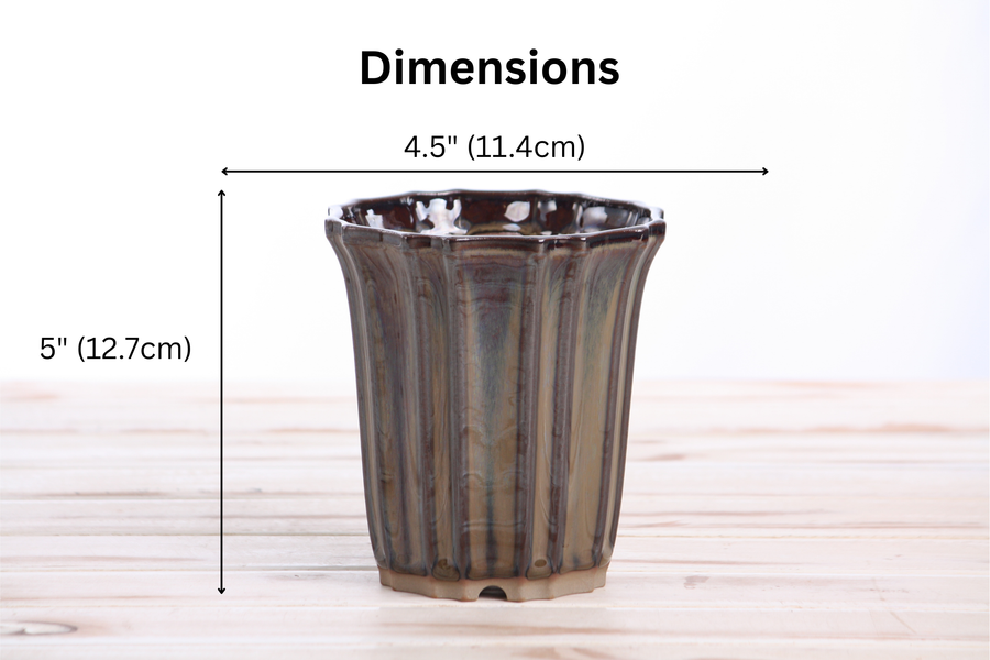 Dimensions of 4.5-Inch Flower Cascade Bonsai Pot - Dark Honey