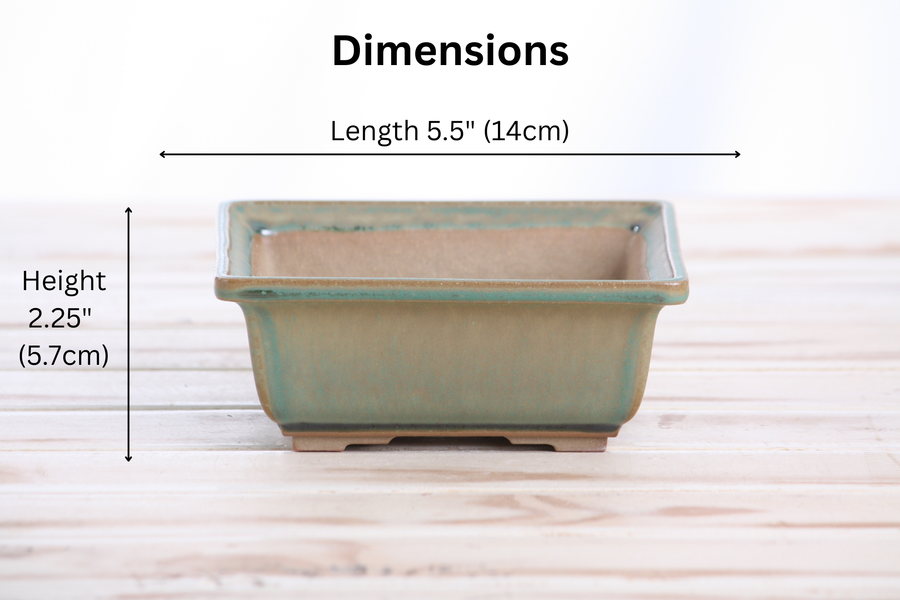 Dimensions of 5.5-Inch Square Bonsai Pot - Speckled Moss