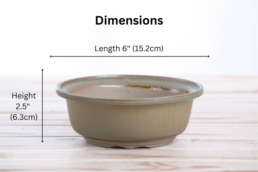 Dimensions of 6-Inch Round Bonsai Pot - Speckled Moss