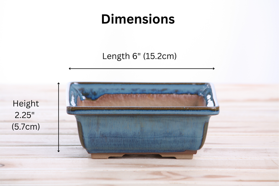 Dimensions of 6-Inch Square Bonsai Pot - Peacock 2025