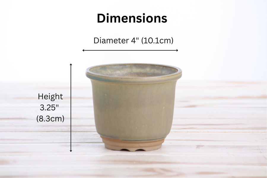 Dimensions of 4-Inch Flute Bonsai Pot - Speckled Moss