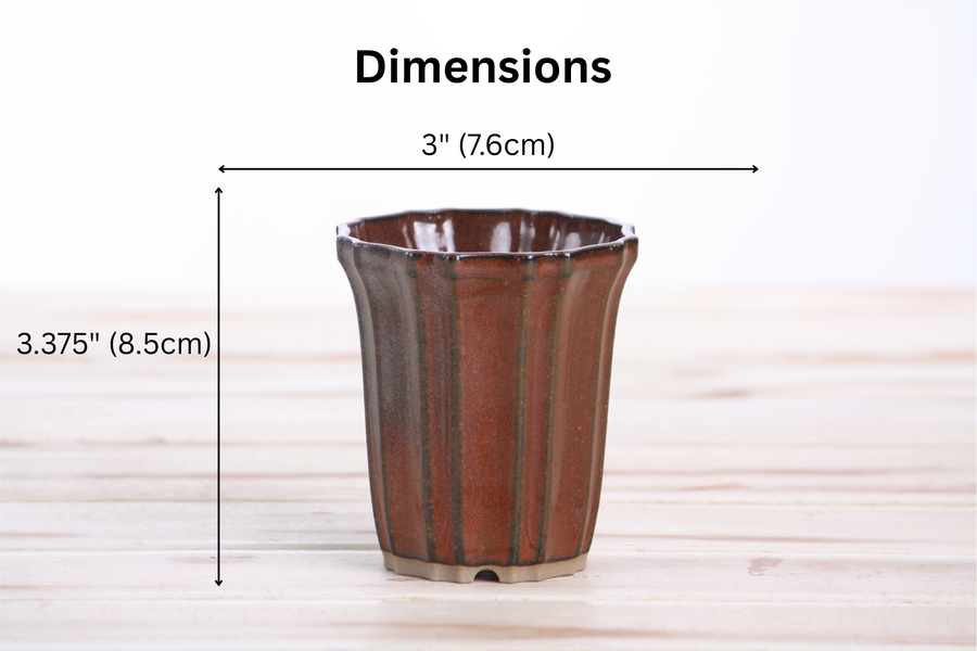 Dimensions of 3-Inch Flower Cascade Bonsai Pot - Sunset