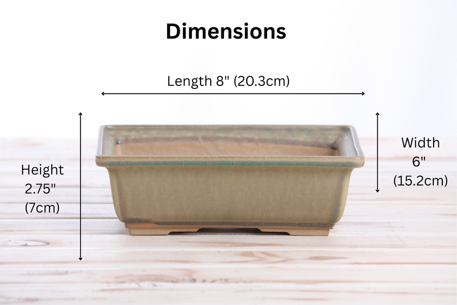 Dimensions of 8-Inch Rectangle Bonsai Pot - Speckled Moss
