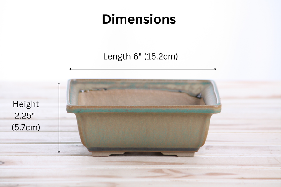 Dimensions of 6-Inch Square Bonsai Pot - Speckled Moss
