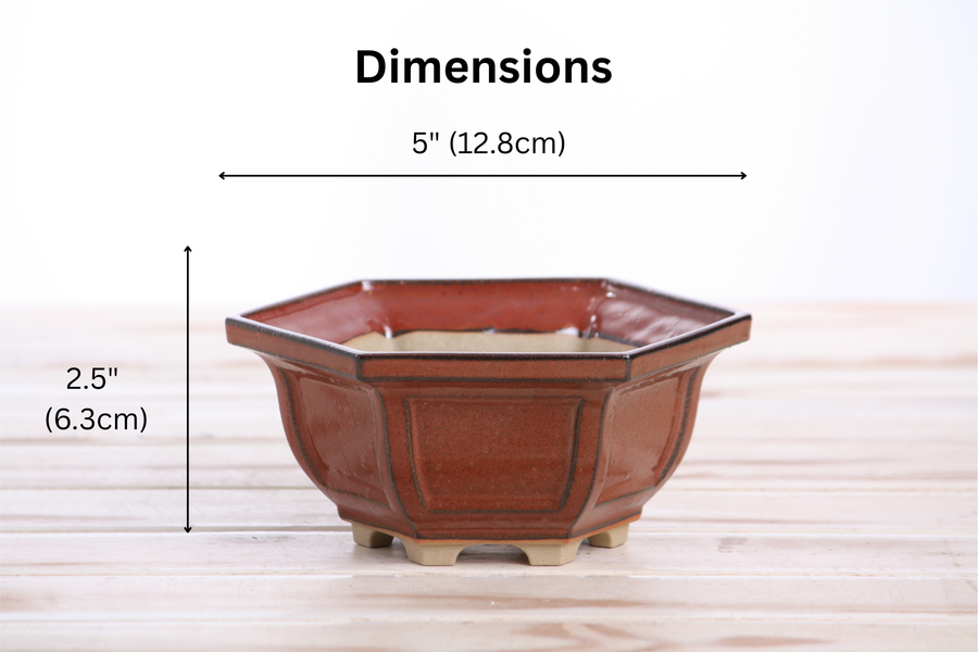Dimensions of 5-Inch Hexagonal Windowed Bonsai Pot - Sunset