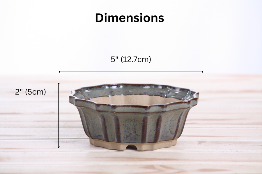 Dimensions of 5-Inch Flower Bonsai Pot - Starry Night