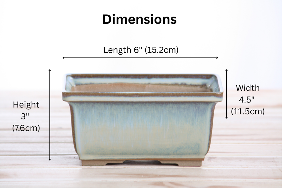 Dimensions of 6-Inch Rectangle Deep Bonsai Pot - Glacier