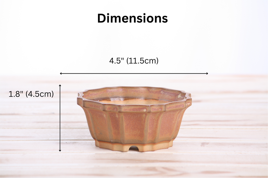 Dimensions of 4.5-Inch Flower Bonsai Pot - Deep Stone
