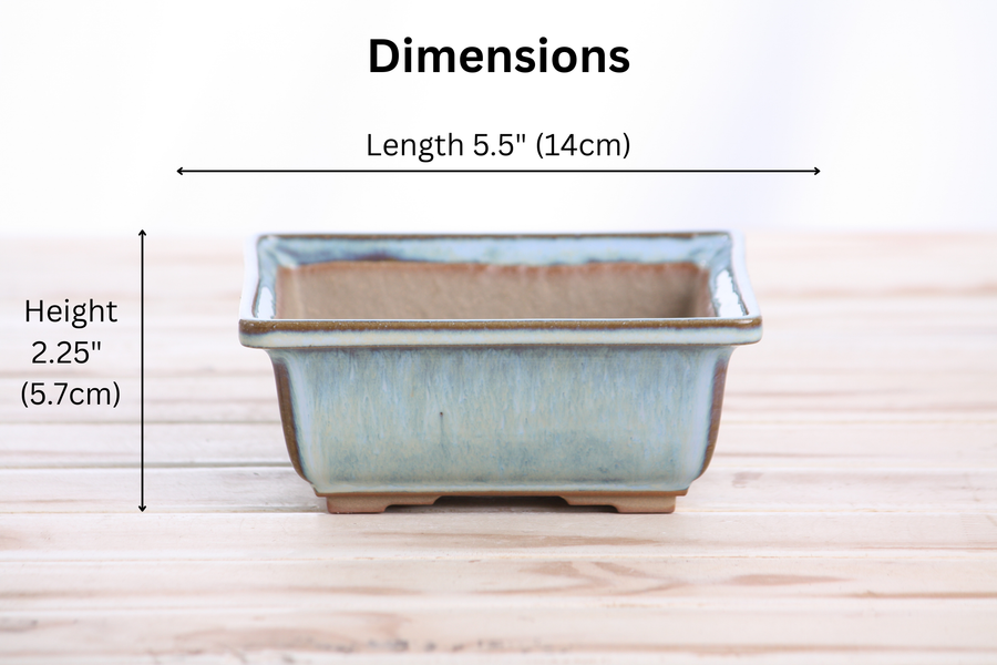 Dimensions of 5.5-Inch Square Bonsai Pot - Glacier