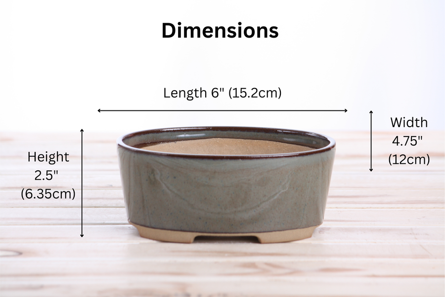 Dimensions of 6-Inch Oval A Bonsai Pot - Starry Night