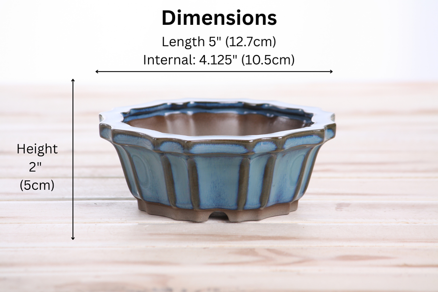 Dimensions of 5-Inch Flower Bonsai Pot - Peacock 2025