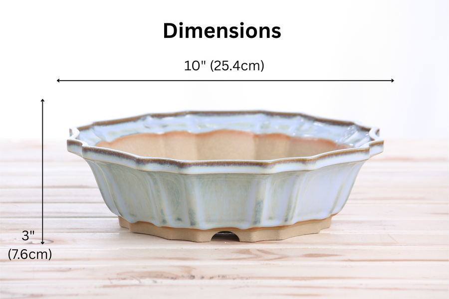 Dimensions of 10-Inch Flower Bonsai Pot - Glacier