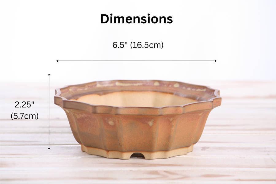 Dimensions of 6.5-Inch Flower Bonsai Pot - Deep Stone