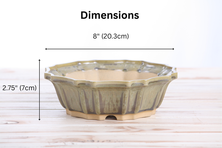 Dimensions of 8-Inch Flower Bonsai Pot - Copenhagen