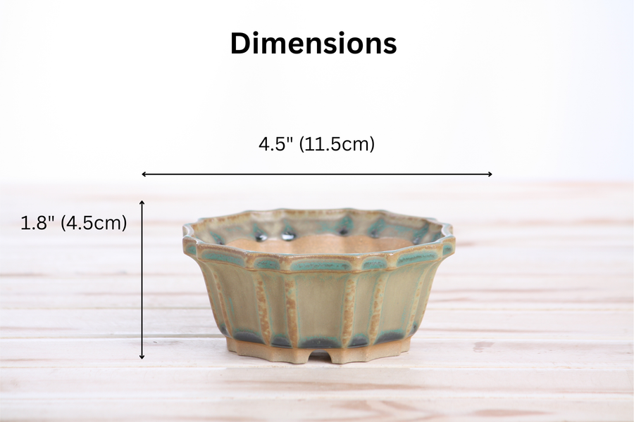Dimensions of 4.5-Inch Flower Bonsai Pot - Speckled Moss