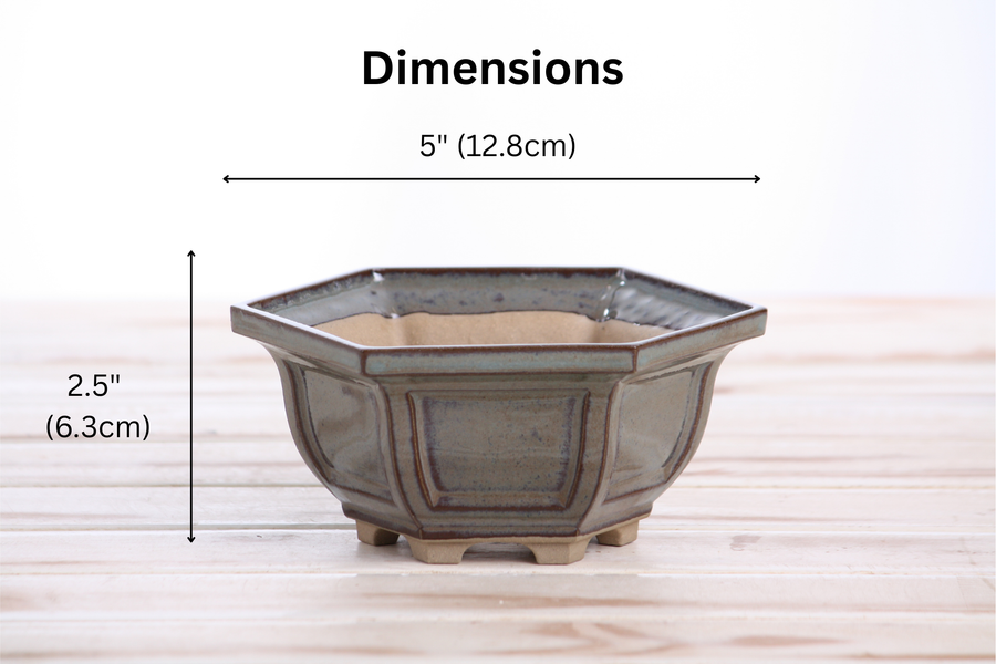 Dimensions of 5-Inch Hexagonal Windowed Bonsai Pot - Starry Night