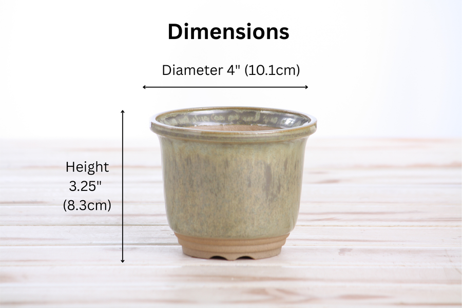 Dimensions of 4-Inch Flute Bonsai Pot - Copenhagen