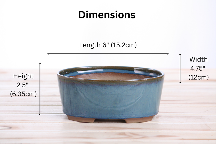 Dimensions of 6-Inch Oval A Bonsai Pot - Peacock 2025