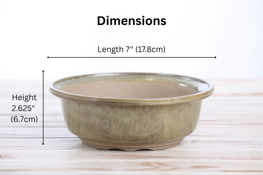 Dimensions of 7-Inch Round Bonsai Pot - Copenhagen