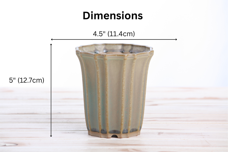 Dimensions of 4.5-Inch Flower Cascade Bonsai Pot - Speckled Moss