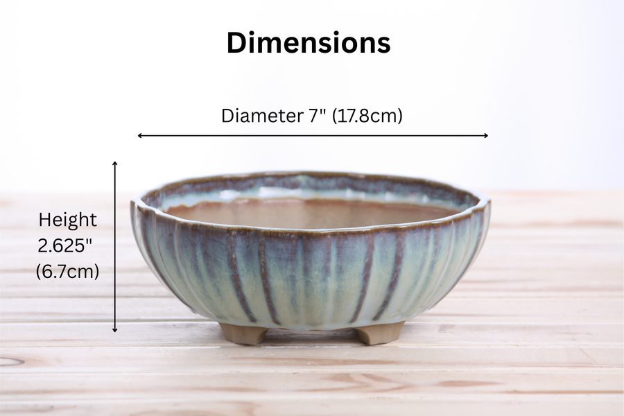 Dimensions of 7-Inch Lily Bonsai Pot - Glacier