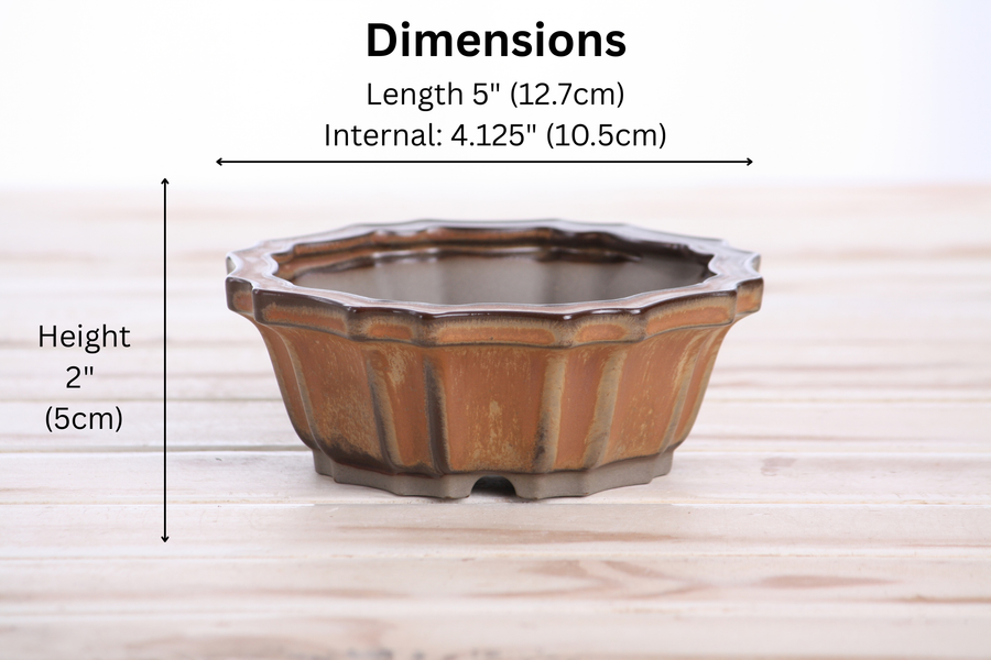 Dimensions of 5-Inch Flower Bonsai Pot - Deep Stone