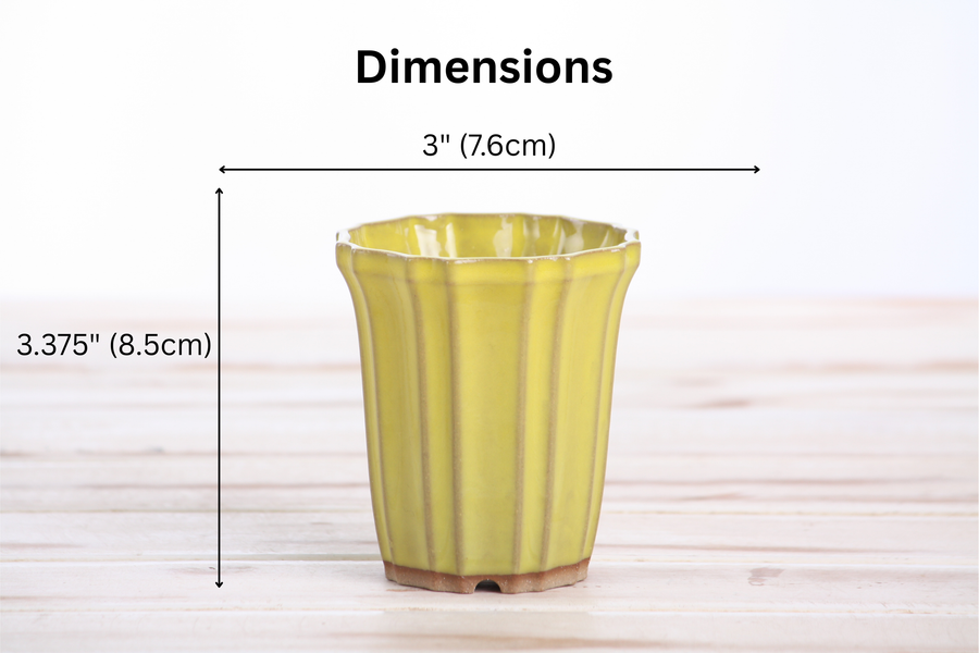 Dimensions of 3-Inch Flower Cascade Bonsai Pot - Yellow